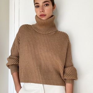 Aritzia Camel Ribbed Turtleneck Sweater
